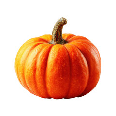 Pumpkin,  isolated on white background