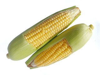 Fresh sweet corn, fresh yellow corn isolated on white background with clipping path. Ripe sweet...
