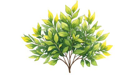 Watercolor Illustration Of Green Bush With Detailed Leaves On Transparent Background