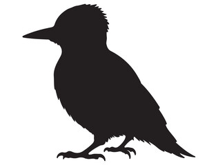 WOODPECKER SILHOUETTE