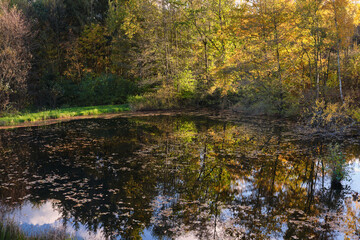 Fototapeta premium Gorgeous view of lake and autumn forest park, shadow reflecting on water surface.