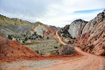 Scenic Cottonwood Road Winding Through Utah's Desert Wilderness