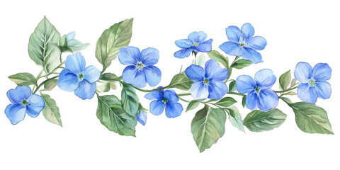 Blue floral watercolor design element on transparent png background