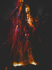Flame in the tree palm at night 