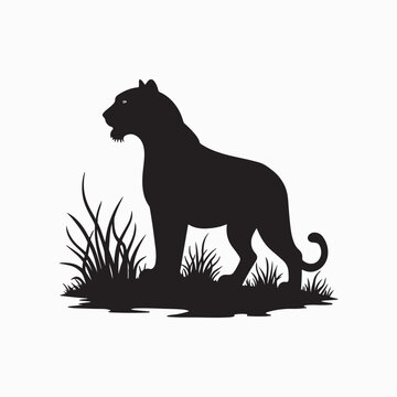 Lion Standing in Grass Silhouette