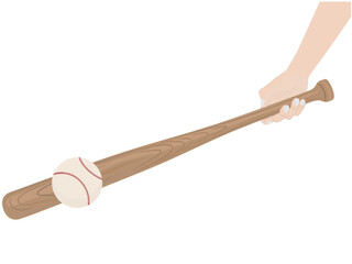 Baseball bat on a white background.