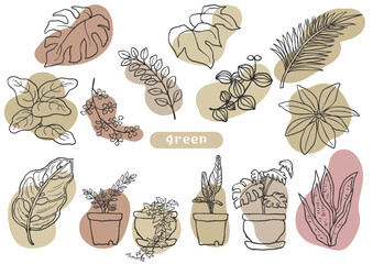 手描き風の観葉植物ラフな着彩イラストセット