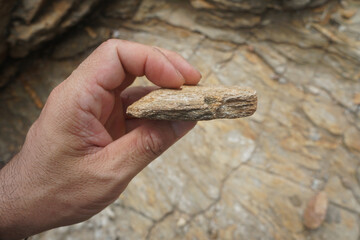 A specimen of Schist rock is in the hands of a geologist.  
