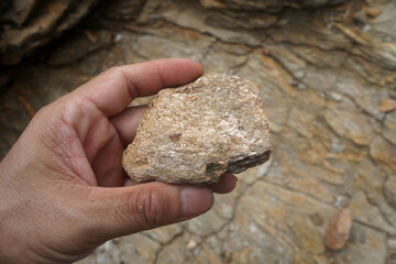 A specimen of Schist rock is in the hands of a geologist.  