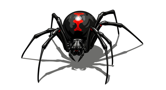 Glossy black widow spider vector with sharp fangs and dramatic shadows
