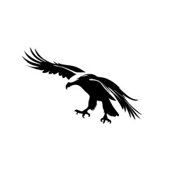 eagle in flight