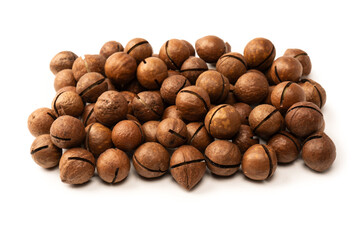 Macadamia nuts in a shell isolated on a white background.