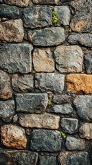 Obraz premium Stone Wall Texture with Small Plants Growing in Between Blocks
