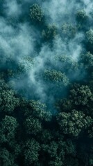 Aerial View of Dense Forest with Clouds and Mist Rolling Over Trees