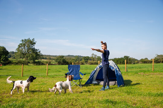 woman playing with dogs camping
