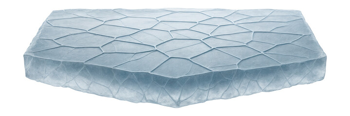 Thin layer of sea ice with polygonal crack patterns