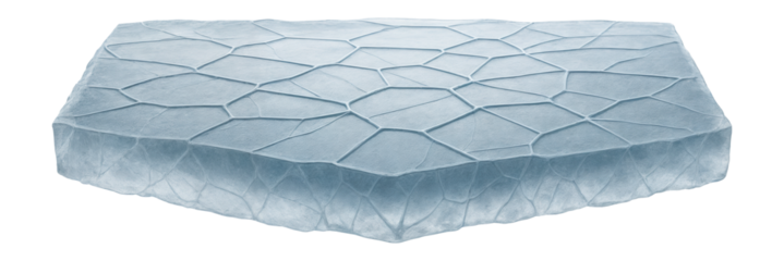 Thin layer of sea ice with polygonal crack patterns