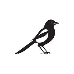 Fototapeta premium Minimalist Magpie Bird Silhouette Vector Illustration
