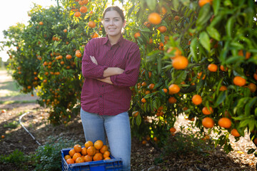 Portrait of skilled female workers picking mandarins in box on farm