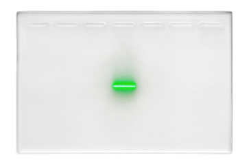 Single bright DNA band visible in the middle of a lane on a gel