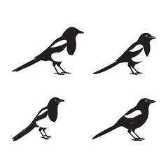 Fototapeta premium Minimalist Magpie Bird Silhouette Vector Illustration