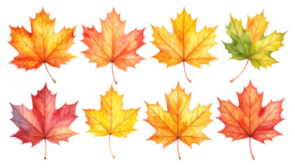 Obraz premium Spectacular display of colorful maple leaves in autumn splendor vibrant