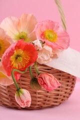 Beautiful poppy flowers in wicker basket on pink background, closeup