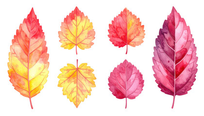 Fototapeta premium Watercolor autumn leaves png, vibrant fall foliage for seasonal designs