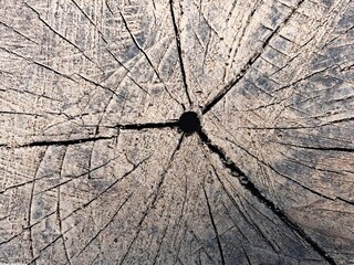 old wooden texture