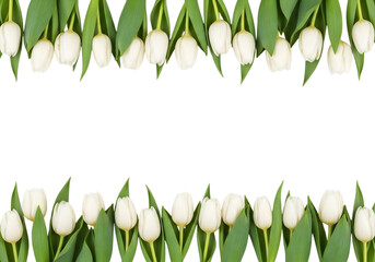 Elegant white tulip border frame on a black background for text overlay
