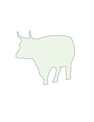 pig isolated on white background