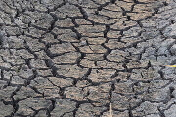 Cracked Earth: A detailed texture of parched earth reveals a network of fissures. capturing the...