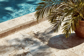Poolside travertine tile texture with palm frond shadow overhead shot for summer vacation vibes and design elements