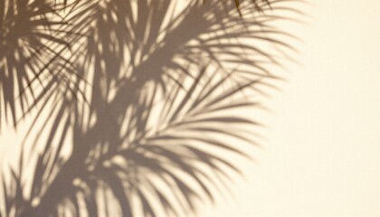 Obraz premium Soft Palm Leaf Shadows on Beige Wall Summer Tropical Background Texture