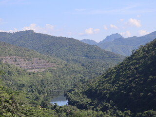 Mountainous Forest Landscape: Breathtaking view capturing the beauty of the forest with its lush...