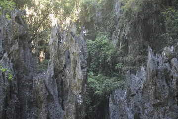 A large, exposed rock formation. The rock is weathered and has a brown and gray color.