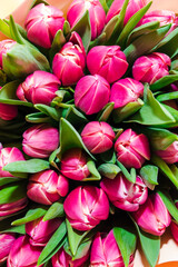 Spring bouquet of pink tulips . Bunch of many colorful fragrant flowers. Floristry and floral design concept. Floral texture