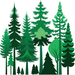 Fototapeta premium vector illustration of a forest