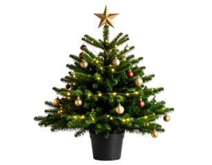 Tiny Tabletop Christmas Tree with Mini Ornaments and LED Lights, isolated on a transparent background.