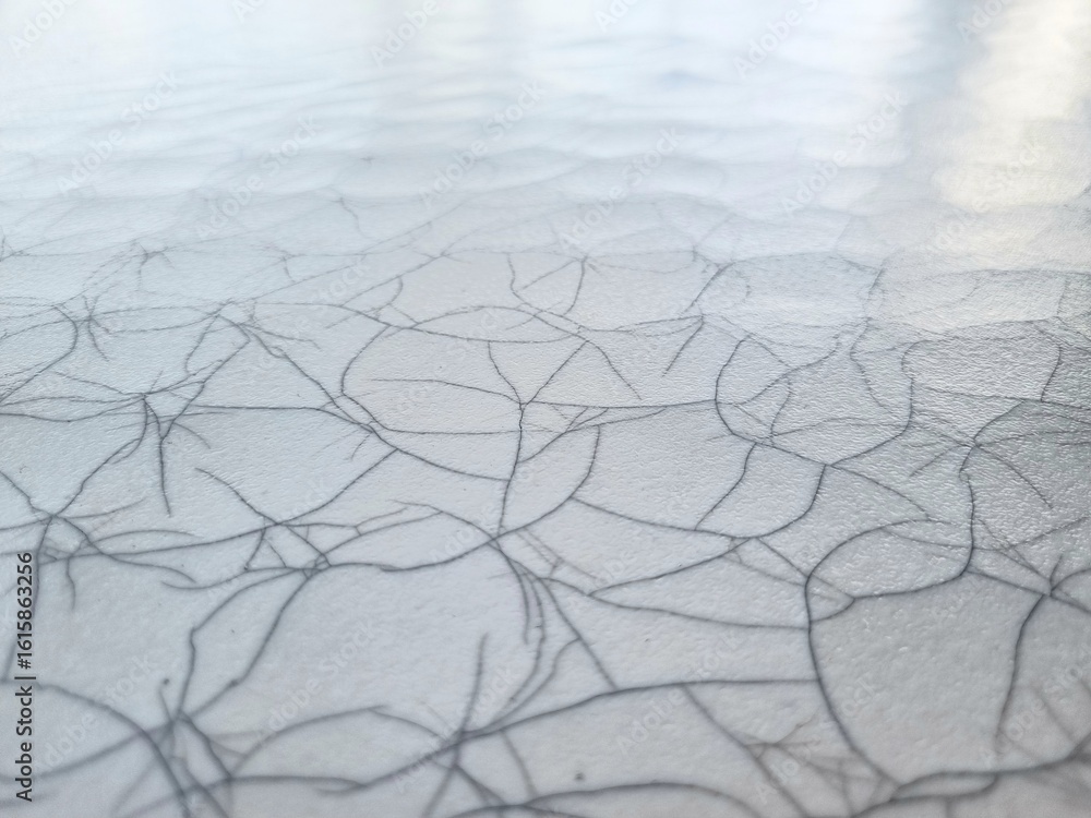 Poster abstract veins and texture: an abstract close-up image revealing an intricate network of textured li