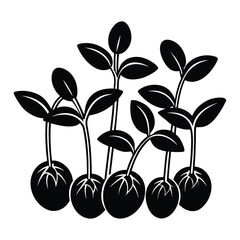 Growing Seedlings Plants Sprout Nature Botanical Gardening on White Background