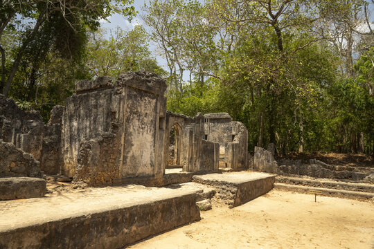 View of the historic Gede Ruins stand weathered against the lush Kenyan forest, stone contrasting vividly with the verdant foliage, Gede, Kilifi County, Kenya.