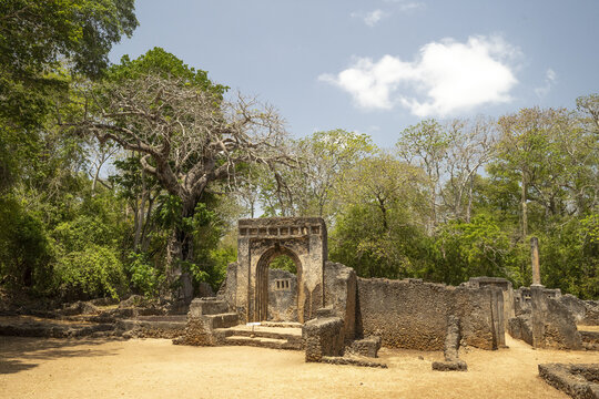 View of ancient, weathered stone ruins stand framed by lush green trees under a blue sky, a solemn testament to time's passage, Gede, Kilifi County, Kenya.