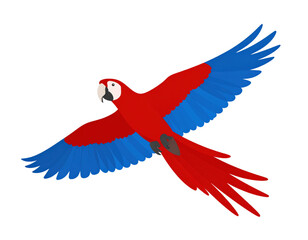 Vibrant Red and Blue Parrot Flying Against a Clear Sky Background