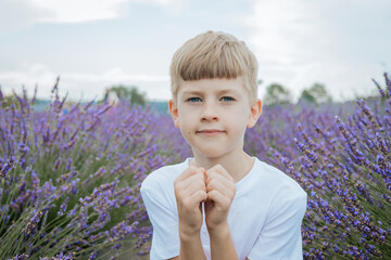 Portrait of a blond boy in a white shirt sitting and posing in a lavender field. Peaceful rural...