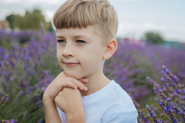 Portrait of a blond boy in a white shirt sitting and posing in a lavender field. Peaceful rural summer scene.