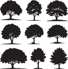Diverse tree silhouettes black white