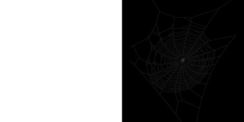 White spider web, cut out	