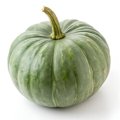 fresh green pumpkin with smooth, round surface and natural stem.