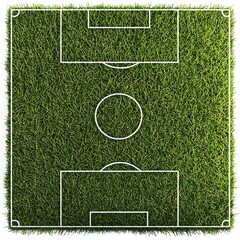 Soccer field grass isolated on white background with clipping path included.